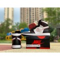 Jordan 1 Retro High OG Defiant