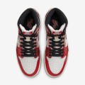 The Spider-man Air Jordan 1 High OG 